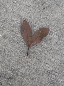  So this is what I’m setting out on: I’m desperate for a mental solace from worries, cares, and any other stress that has crept into my thoughts. I’m longing for time away in a beautiful place to reconnect with my inner thoughts and daydreams ..I’ve packed some books and a journal to get back to my core loves of reading and writing. I’m looking forward to surrounding myself with the natural elements of the Earth and just breathing deeply, taking a time out from life. Ready. Set. Go.